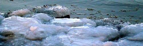 Shore Ice