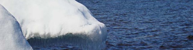 Snow & Ice Sculptures