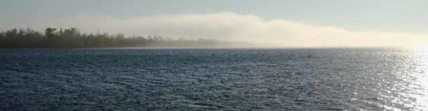 Cool Fog