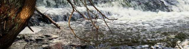 Fanny Hooe Creek