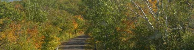 Fall Colors!!