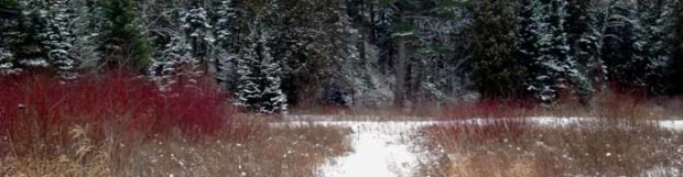 Trails!