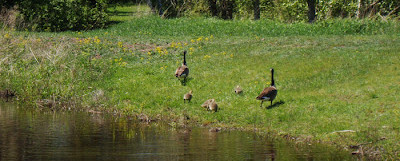 Spring Is In The Air!