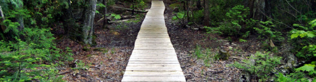 Estivant Pines