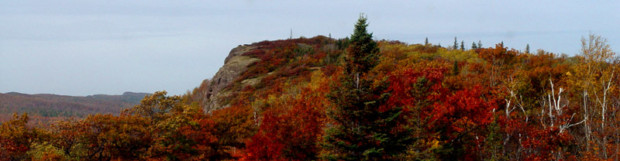 Peak at the Peak